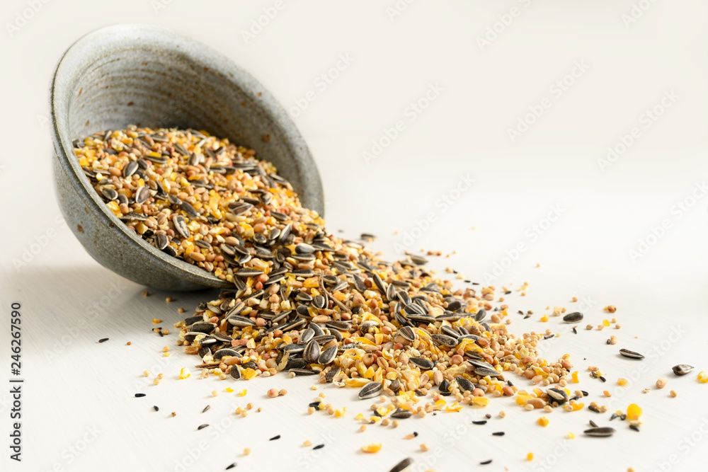 bird food from mixed seeds like sunflower, corn, millet and more, are falling out of a bowl on a light background, copy space bird food from mixed seeds like sunflower, corn, millet and more, are falling out of a bowl on a light background, copy space