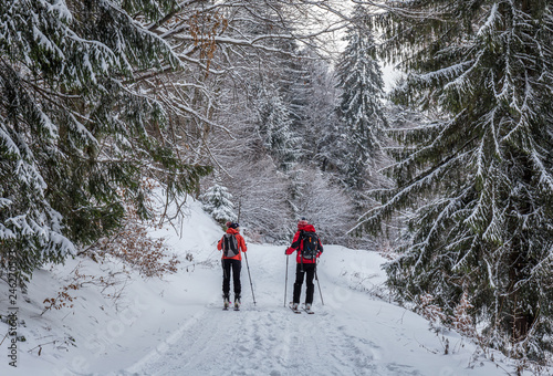 Couple skiing in the woods at Poiana Brasov, Transylvania, Romania