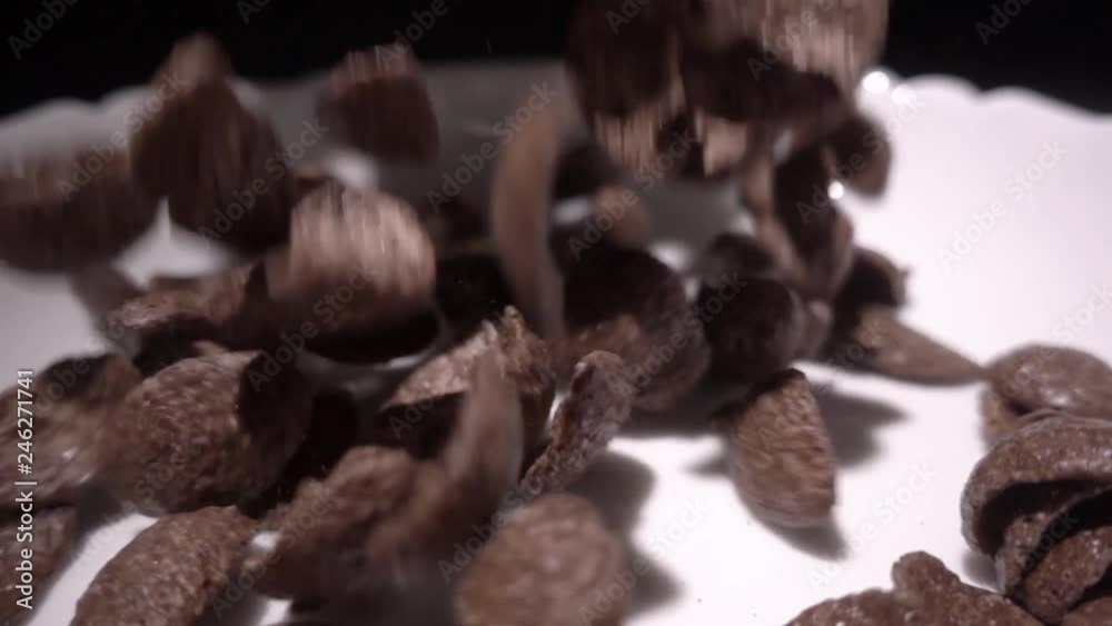 Brown chocolate corn flakes fall in a white plate with a pattern of flowers on the edge and are filled with milk. Closeup. Slow mo, slo mo, slow motion, high speed camera, Brown chocolate corn flakes fall in a white plate with a pattern of flowers on the edge and are filled with milk. Closeup. Slow mo, slo mo, slow motion, high speed camera,