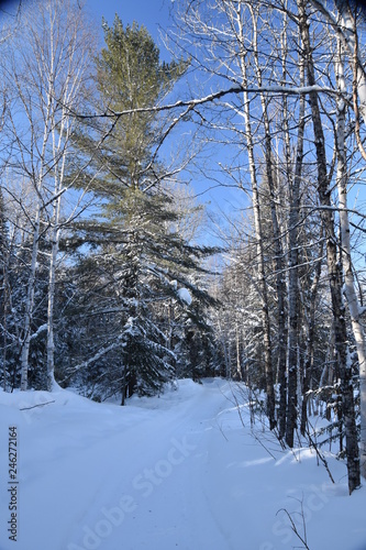 Neige, froid, hiver au Québec