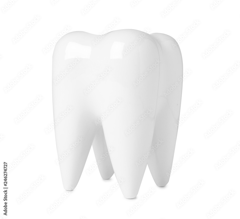 Ceramic model of tooth on white background. Dental care Ceramic model of tooth on white background. Dental care