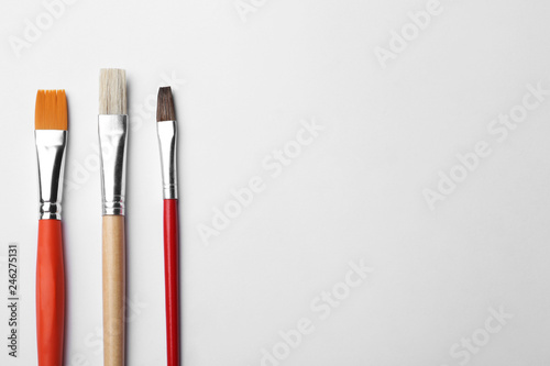 Different paint brushes on white background, top view. Space for text