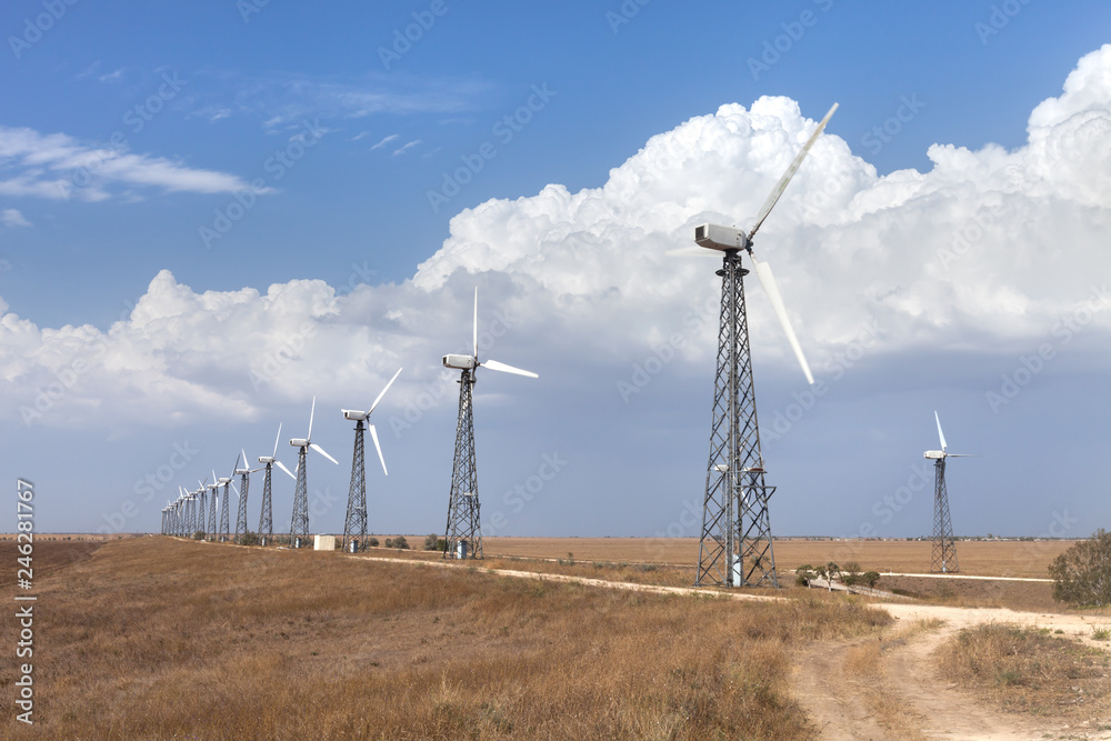 wind turbines in the field wind turbines in the field