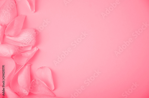 Rose petals on solid color paper background romantic template with place for text © Hyperset