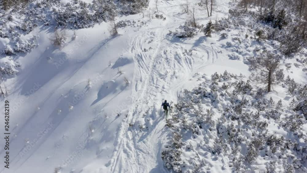 Aerial shot of skiers going downhill in between forest Aerial shot of skiers going downhill in between forest