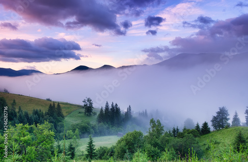 Mountains and forest in the fog. Beautiful natural landscape at the summer time during sunrise. Forest and mountains. Mountain landscape-image © biletskiyevgeniy.com