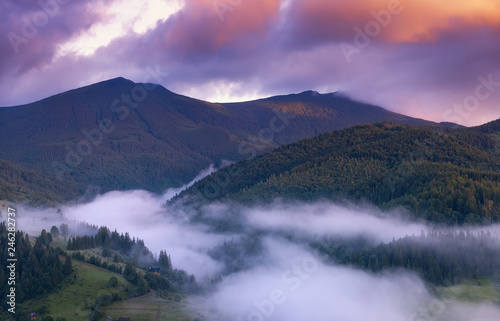 Mountains and forest in the fog. Beautiful natural landscape at the summer time during sunrise. Forest and mountains. Mountain landscape-image