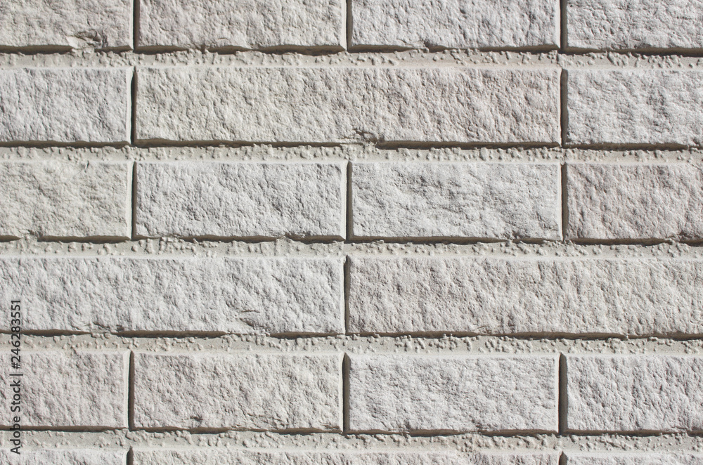 Obraz premium 住宅の外壁