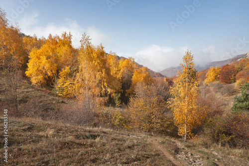 Autumn landscape in the mountains