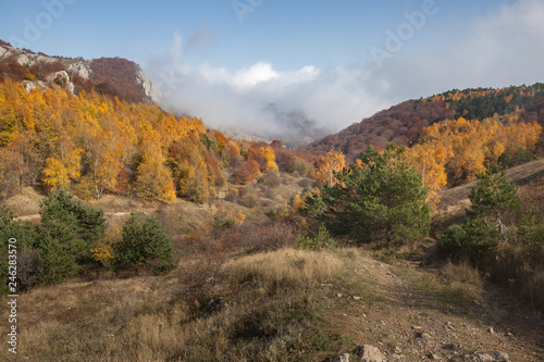 Autumn landscape in the mountains