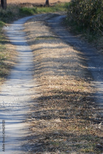 Wallpaper Mural Rural countryside trail Torontodigital.ca