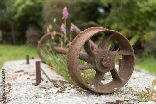 A rusty iron wheel and shaft; relics of the abandoned Ruatapu timber mill at Lake Mahinapua, West Coast, New Zealand. Shallow depth of field with out of focus, pink foxgloves in the background. photo