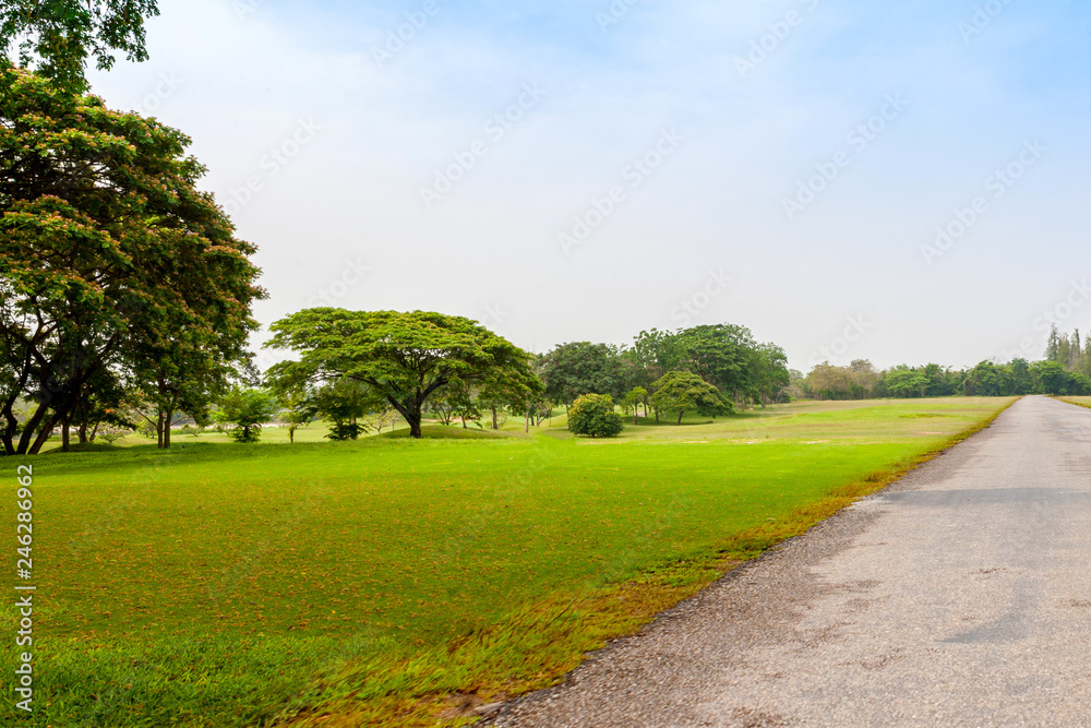 Beautiful Green park scene in public park with empty pathway on green grass field in the bright day 