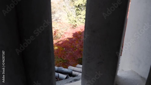 Push through Bitchu Matsuyama Castle window to reveal roof titles and maple tree in full autumn color, Okayama, Japan photo