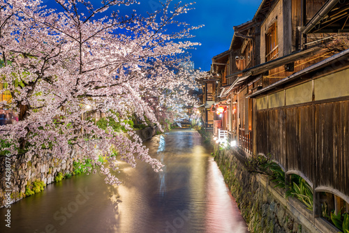 Kyoto, Japan at the Shirakawa River in the Gion District in Kyoto during the spring cherry blosson season.