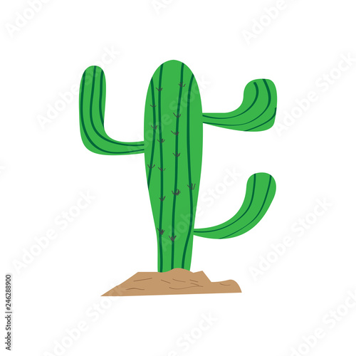 Isolated cute cactus image. Vector illustration design