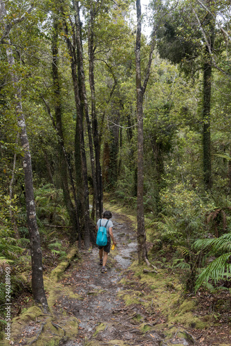 Female, baby boomer hiker on the Mahinapua trail though the regenerating Mahinapua forest. Ruatapu, West Coast, New Zealand.