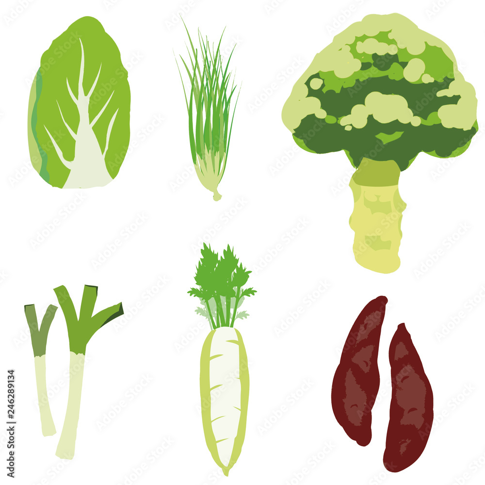 冬野菜 イラストセット2 Winter Vegetable Illustration Set2 Stock Vector Adobe Stock