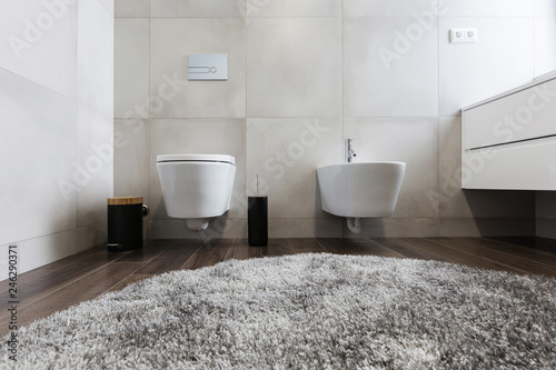 luxury bathroom interior with toilet and bidet