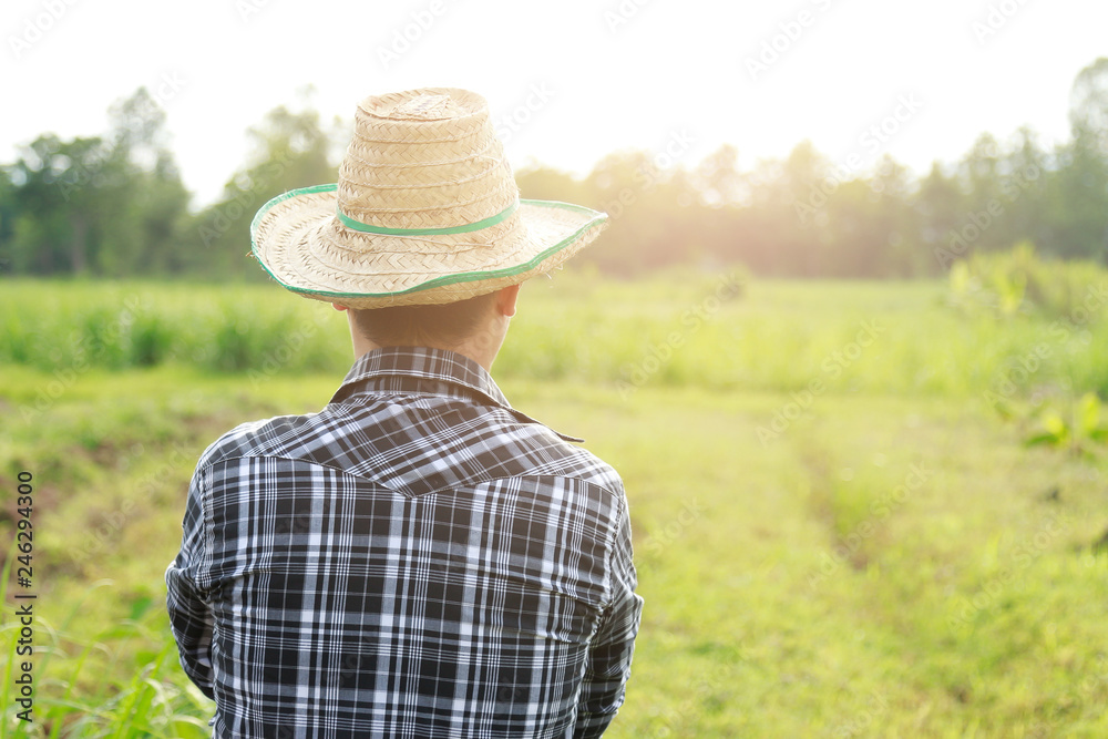 back view of farmer looking at farm 
