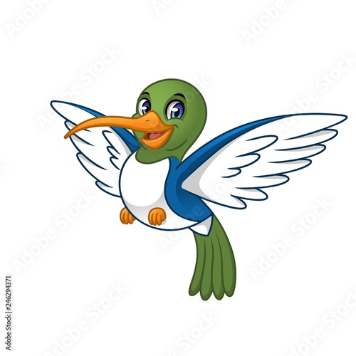 Hummingbird Cartoon Character Design Vector Illustration