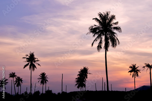 Silhouette of coconut tree with twilight sky