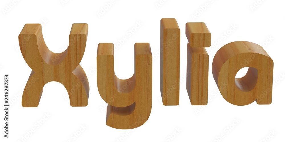 xylia in 3d name with wooden texture xylia in 3d name with wooden texture
