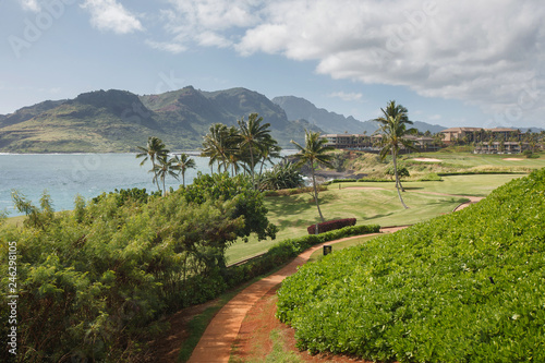 Tropical Resort View in Lihue, Kauai photo