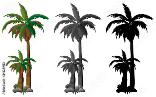 Set of palm tree