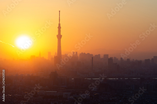 Aerial view of Tokyo city and Skytree tower at dusk in Japan