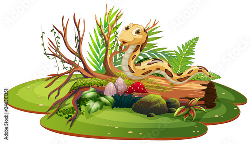 Snake in isolated nature