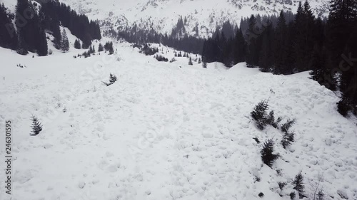 Avalanche runout zone in the alps, Austria, Kleinwalsertal, bad weather photo