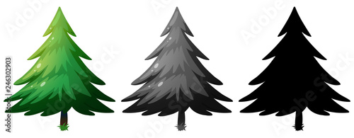 Set of pine tree