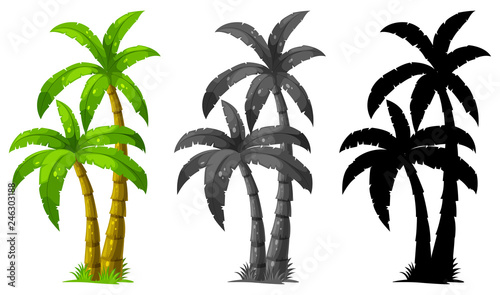 Fényképezés Set of palm tree