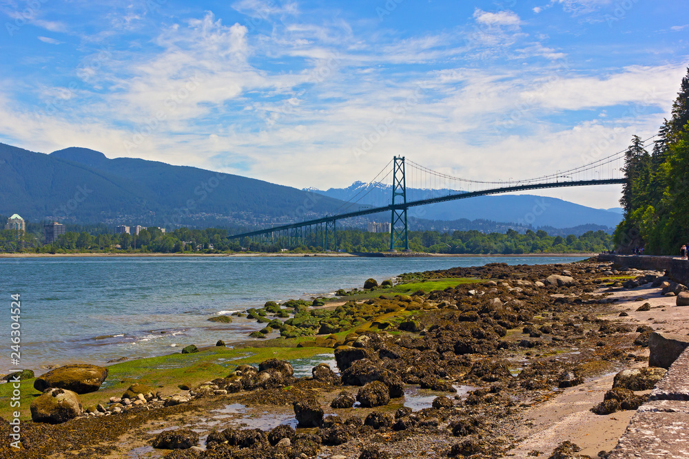 Stanley Park panorama with a view on Lions Gates Bridge and mountains with snow peaks on horizon in Vancouver BC, Canada. Beautiful summer day for a stroll on park trails.