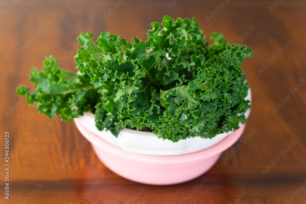 Bunch organic fresh of kale in plastic bowl on table Bunch organic fresh of kale in plastic bowl on table