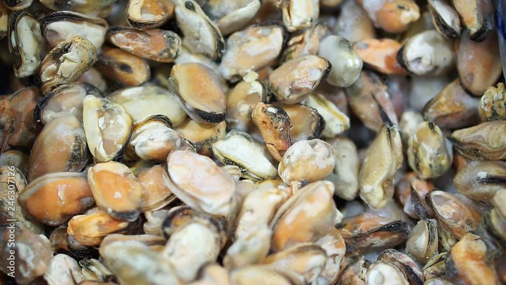 Close-up of frozen mussels in the store. Supermarket Refrigerator Close-up of frozen mussels in the store. Supermarket Refrigerator
