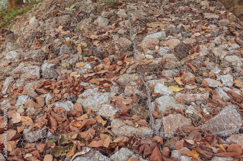 Dry leaves fall on the ridge of a rock filled with various sizes. Both small and large