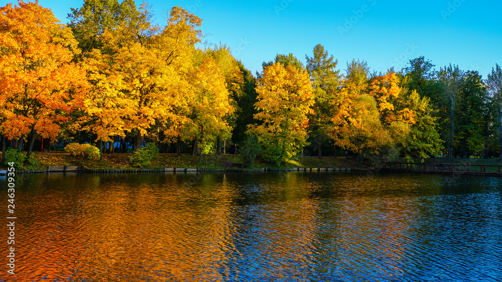 The blue water of the pond appears dark and cold. Bright red reflections of maple leaves warm it.