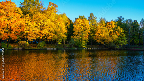 The blue water of the pond appears dark and cold. Bright red reflections of maple leaves warm it.