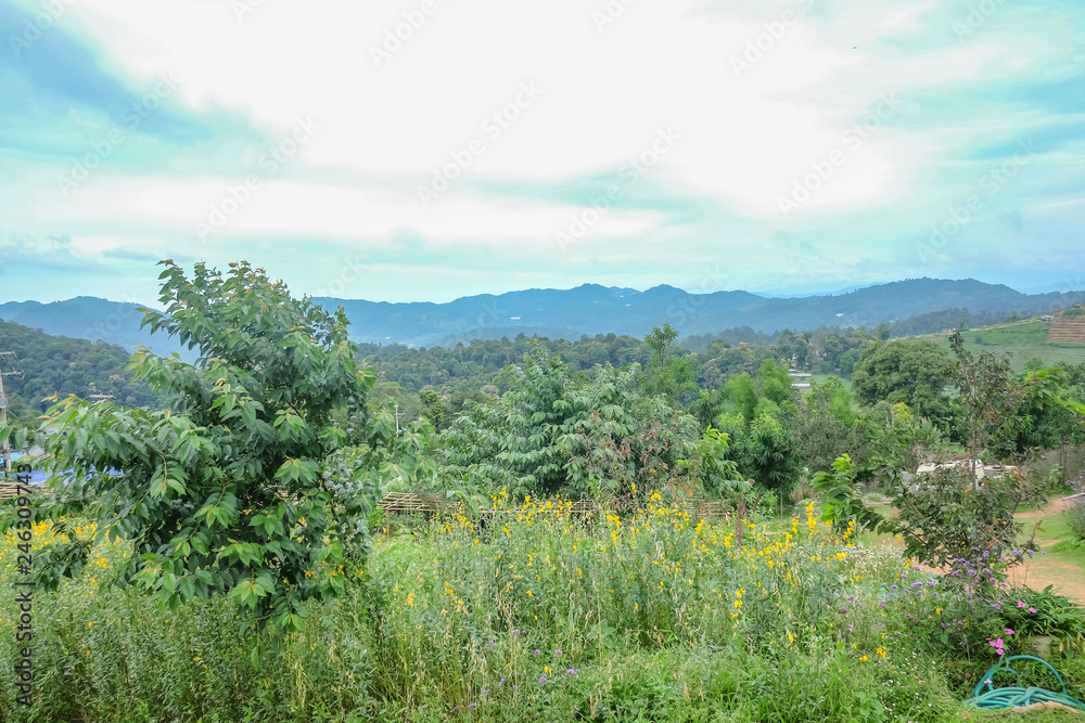 Beautiful Landscape view on monjam mountain Chianmai City Thailand