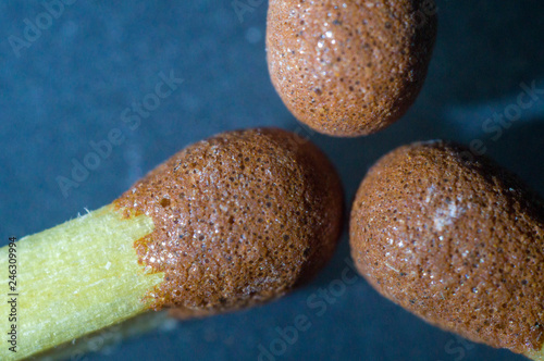 Wooden matches. Macro close up