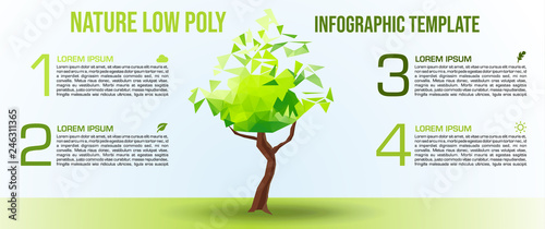 Modern colorful nature low poly infographics options template vector with tree