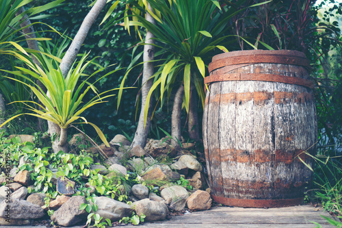 old Oak wood wine barrel