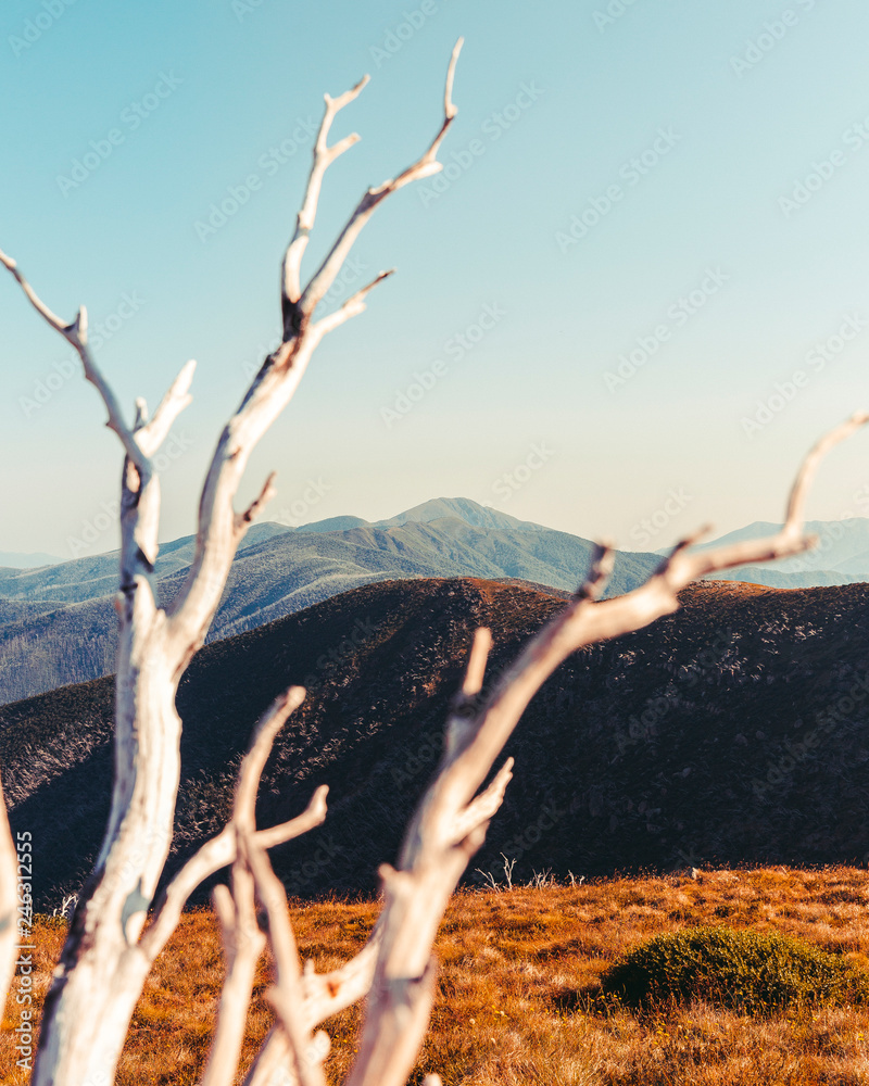 Beautiful Australian Summer Landscape of Mount Hotham and Buller, Victoria, Australia.