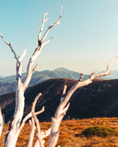 Obraz na płótnie Beautiful Australian Summer Landscape of Mount Hotham and Buller, Victoria, Australia. w salonie