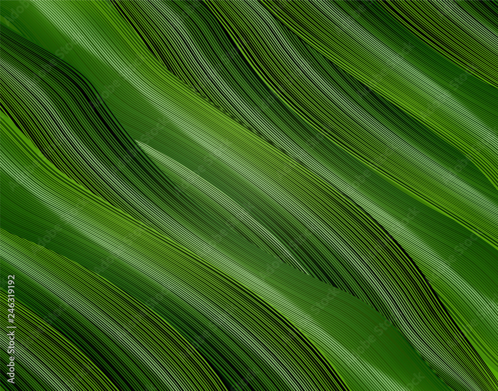 volumetric, vector, green background of realistic 3D leaves. abstract vector graphics. volumetric, vector, green background of realistic 3D leaves. abstract vector graphics.