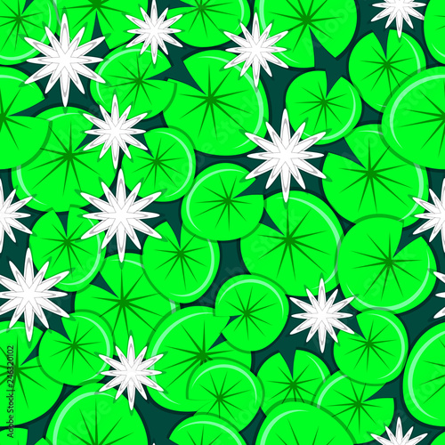 White water lilies with leaves. Seamless pattern.