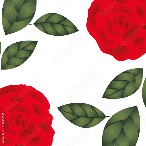 beautiful roses with leafs isolated icon