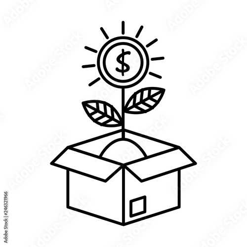 coins cash money with leafs plant in box